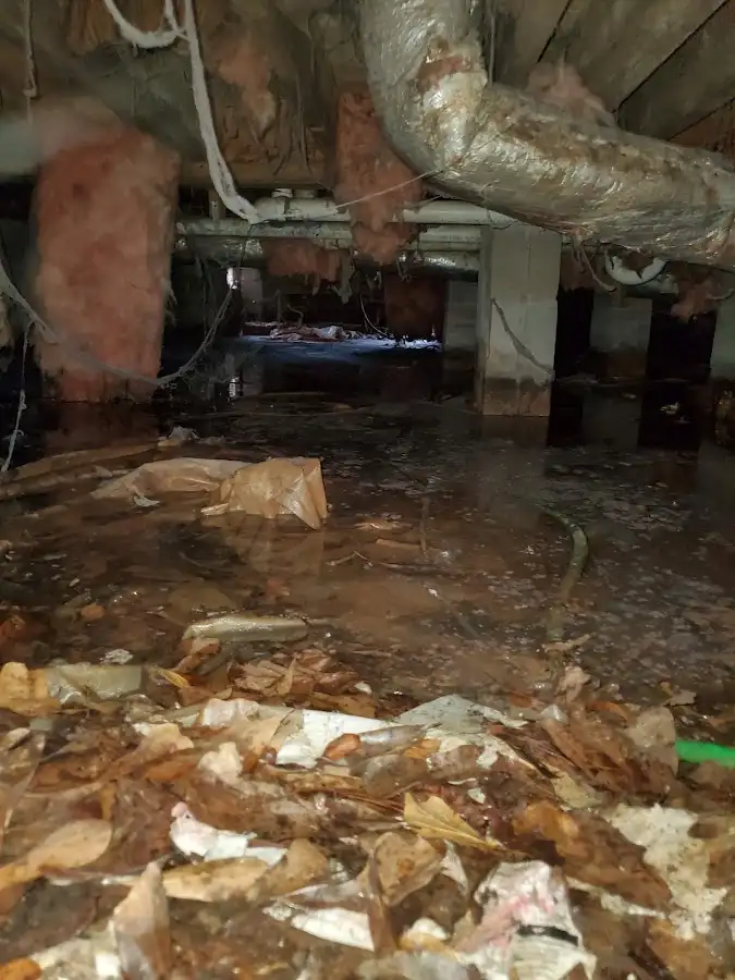 Crawl space flood assessment for Leak Detection & Repair in Lake Forest